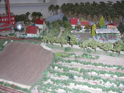 CIMG0284